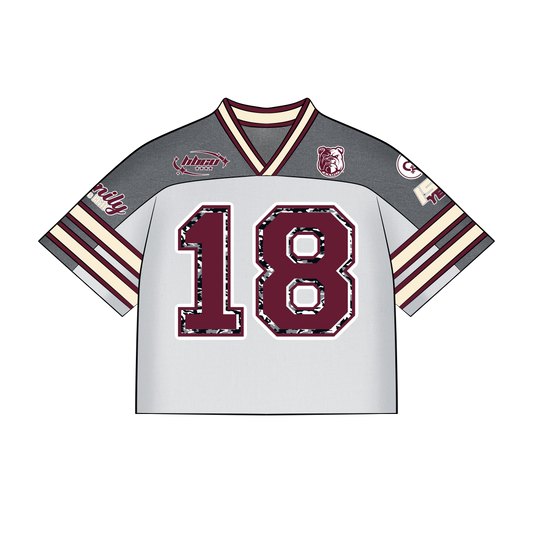 Signature AAMU Jersey -  Grey (Not cropped)