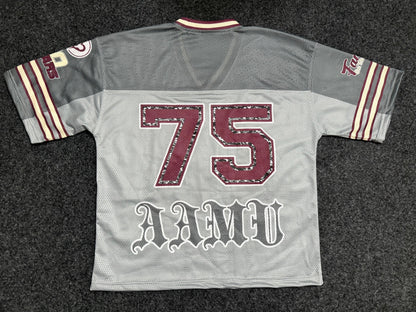 Signature AAMU Jersey -  Grey (Not cropped)